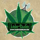 Logo de IndoRadio